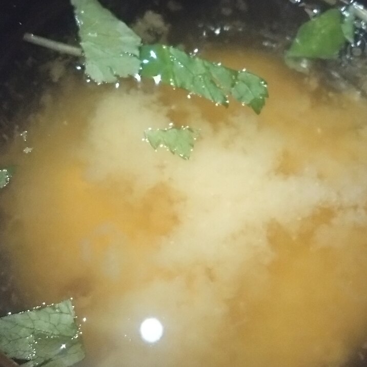 しじみの味噌汁
